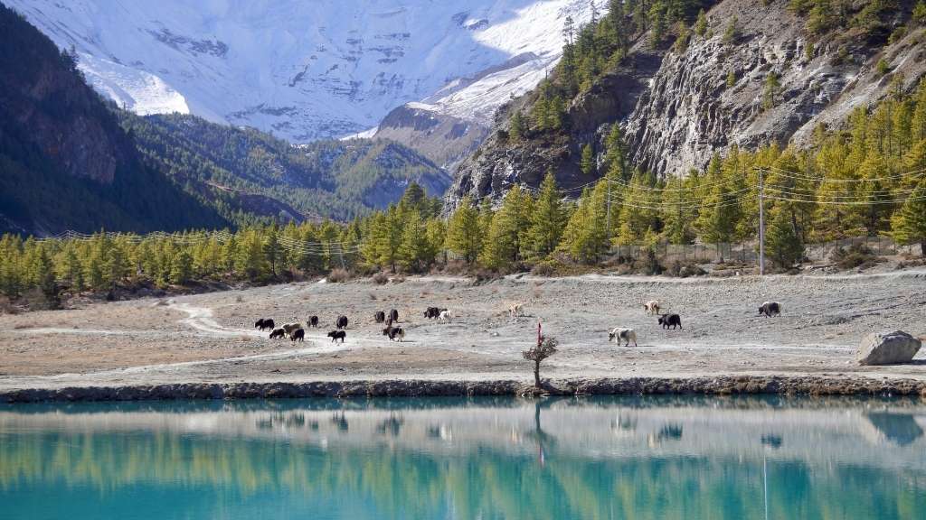 Annapurna circuit trek with tilicho lake