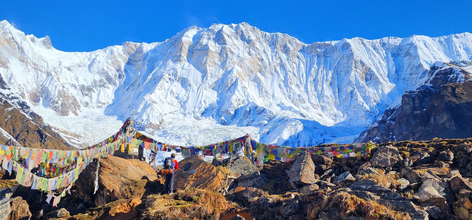 Mt annapurna