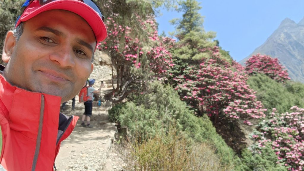 Rhododendrons in full bloom during the spring Everest Base Camp Trek.