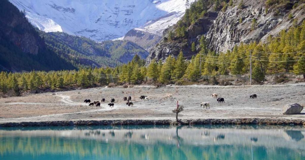 Beautiful lake on Annapurna circuit trek